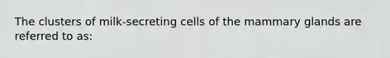 The clusters of milk-secreting cells of the mammary glands are referred to as: