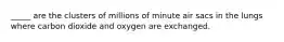 _____ are the clusters of millions of minute air sacs in the lungs where carbon dioxide and oxygen are exchanged.