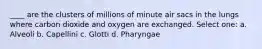 ____ are the clusters of millions of minute air sacs in the lungs where carbon dioxide and oxygen are exchanged. Select one: a. Alveoli b. Capellini c. Glotti d. Pharyngae