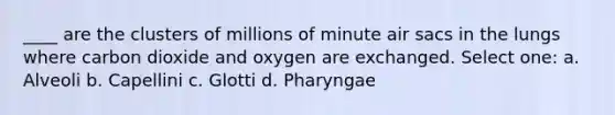 ____ are the clusters of millions of minute air sacs in the lungs where carbon dioxide and oxygen are exchanged. Select one: a. Alveoli b. Capellini c. Glotti d. Pharyngae