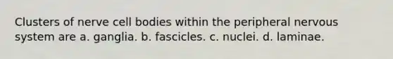 Clusters of nerve cell bodies within the peripheral nervous system are a. ganglia. b. fascicles. c. nuclei. d. laminae.