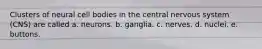 Clusters of neural cell bodies in the central nervous system (CNS) are called a. neurons. b. ganglia. c. nerves. d. nuclei. e. buttons.