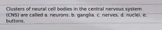 Clusters of neural cell bodies in the central nervous system (CNS) are called a. neurons. b. ganglia. c. nerves. d. nuclei. e. buttons.