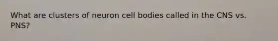 What are clusters of neuron cell bodies called in the CNS vs. PNS?