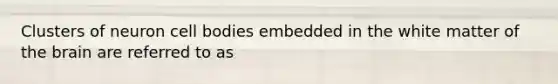 Clusters of neuron cell bodies embedded in the white matter of the brain are referred to as