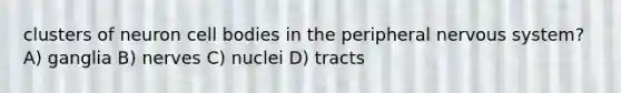 clusters of neuron cell bodies in the peripheral <a href='https://www.questionai.com/knowledge/kThdVqrsqy-nervous-system' class='anchor-knowledge'>nervous system</a>? A) ganglia B) nerves C) nuclei D) tracts