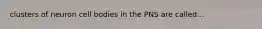 clusters of neuron cell bodies in the PNS are called...