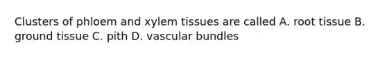 Clusters of phloem and xylem tissues are called A. root tissue B. ground tissue C. pith D. vascular bundles