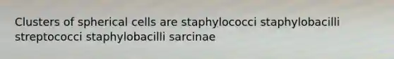 Clusters of spherical cells are staphylococci staphylobacilli streptococci staphylobacilli sarcinae