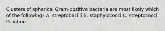 Clusters of spherical Gram-positive bacteria are most likely which of the following? A. streptobacilli B. staphylococci C. streptococci D. vibrio