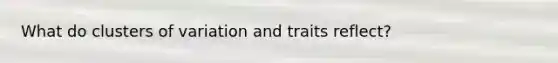What do clusters of variation and traits reflect?