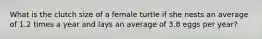 What is the clutch size of a female turtle if she nests an average of 1.2 times a year and lays an average of 3.8 eggs per year?