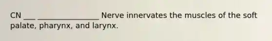 CN ___ ________________ Nerve innervates the muscles of the soft palate, pharynx, and larynx.