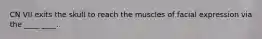 CN VII exits the skull to reach the muscles of facial expression via the ____ ____.