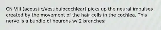 CN VIII (acoustic/vestibulocochlear) picks up the neural impulses created by the movement of the hair cells in the cochlea. This nerve is a bundle of neurons w/ 2 branches: