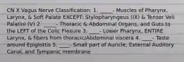 CN X Vagus Nerve Classification: 1. _____- Muscles of Pharynx, Larynx, & Soft Palate EXCEPT: Stylopharyngeus (IX) & Tensor Veli Palatini (V) 2. _____- Thoracic & Abdominal Organs, and Guts to the LEFT of the Colic Flexure 3. ____- Lower Pharynx, ENTIRE Larynx, & fibers from thoracic/Abdominal viscera 4. ____- Taste around Epiglottis 5. ____- Small part of Auricle, External Auditory Canal, and Tympanic membrane