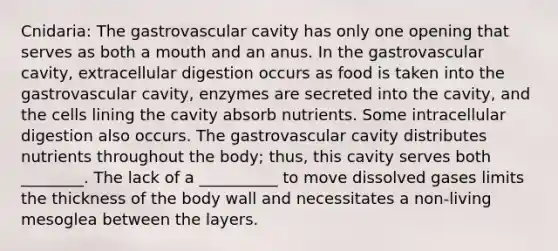 Cnidaria: The gastrovascular cavity has only one opening that serves as both a mouth and an anus. In the gastrovascular cavity, extracellular digestion occurs as food is taken into the gastrovascular cavity, enzymes are secreted into the cavity, and the cells lining the cavity absorb nutrients. Some intracellular digestion also occurs. The gastrovascular cavity distributes nutrients throughout the body; thus, this cavity serves both ________. The lack of a __________ to move dissolved gases limits the thickness of the body wall and necessitates a non-living mesoglea between the layers.