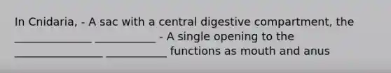 In Cnidaria, - A sac with a central digestive compartment, the ______________ ___________ - A single opening to the ________________ ___________ functions as mouth and anus