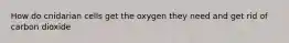 How do cnidarian cells get the oxygen they need and get rid of carbon dioxide