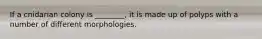 If a cnidarian colony is ________, it is made up of polyps with a number of different morphologies.