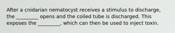 After a cnidarian nematocyst receives a stimulus to discharge, the _________ opens and the coiled tube is discharged. This exposes the _________, which can then be used to inject toxin.