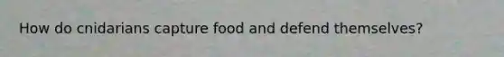 How do cnidarians capture food and defend themselves?