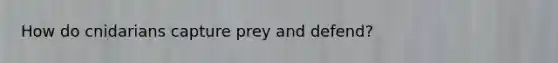How do cnidarians capture prey and defend?