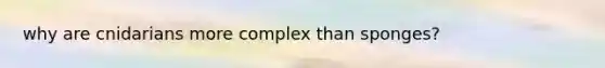why are cnidarians more complex than sponges?