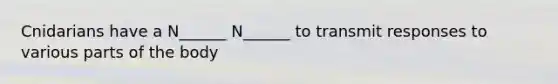 Cnidarians have a N______ N______ to transmit responses to various parts of the body