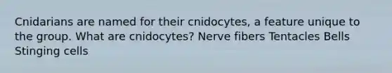 Cnidarians are named for their cnidocytes, a feature unique to the group. What are cnidocytes? Nerve fibers Tentacles Bells Stinging cells