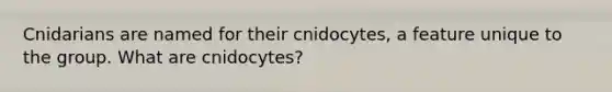 Cnidarians are named for their cnidocytes, a feature unique to the group. What are cnidocytes?