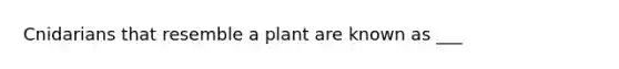 Cnidarians that resemble a plant are known as ___