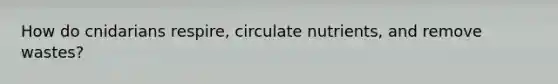 How do cnidarians respire, circulate nutrients, and remove wastes?