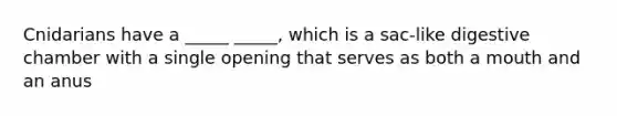 Cnidarians have a _____ _____, which is a sac-like digestive chamber with a single opening that serves as both a mouth and an anus