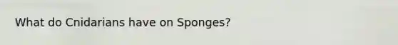 What do Cnidarians have on Sponges?