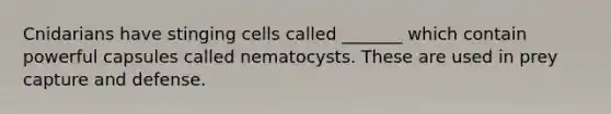 Cnidarians have stinging cells called _______ which contain powerful capsules called nematocysts. These are used in prey capture and defense.