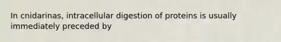 In cnidarinas, intracellular digestion of proteins is usually immediately preceded by