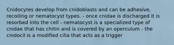 Cnidocytes develop from cnidoblasts and can be adhesive, recoiling or nematocyst types. - once cnidae is discharged it is resorbed into the cell - nematocyst is a specialized type of cnidae that has chitin and is covered by an operculum - the cnidocil is a modified cilia that acts as a trigger