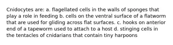 Cnidocytes are: a. flagellated cells in the walls of sponges that play a role in feeding b. cells on the ventral surface of a flatworm that are used for gliding across flat surfaces. c. hooks on anterior end of a tapeworm used to attach to a host d. stinging cells in the tentacles of cnidarians that contain tiny harpoons