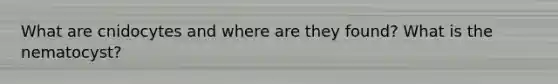 What are cnidocytes and where are they found? What is the nematocyst?