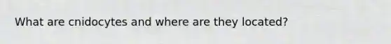 What are cnidocytes and where are they located?