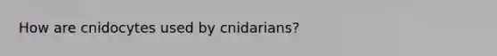 How are cnidocytes used by cnidarians?