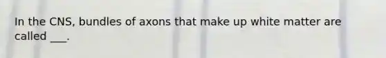 In the CNS, bundles of axons that make up white matter are called ___.