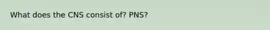 What does the CNS consist of? PNS?