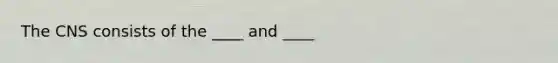 The CNS consists of the ____ and ____