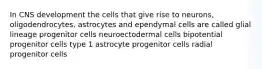 In CNS development the cells that give rise to neurons, oligodendrocytes, astrocytes and ependymal cells are called glial lineage progenitor cells neuroectodermal cells bipotential progenitor cells type 1 astrocyte progenitor cells radial progenitor cells