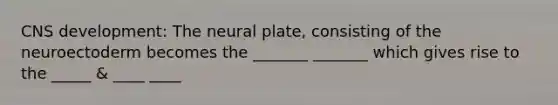 CNS development: The neural plate, consisting of the neuroectoderm becomes the _______ _______ which gives rise to the _____ & ____ ____