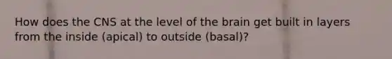 How does the CNS at the level of <a href='https://www.questionai.com/knowledge/kLMtJeqKp6-the-brain' class='anchor-knowledge'>the brain</a> get built in layers from the inside (apical) to outside (basal)?