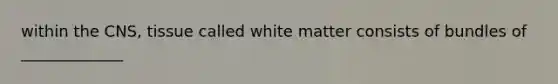 within the CNS, tissue called white matter consists of bundles of _____________