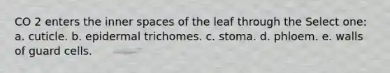 CO 2 enters the inner spaces of the leaf through the Select one: a. cuticle. b. epidermal trichomes. c. stoma. d. phloem. e. walls of guard cells.